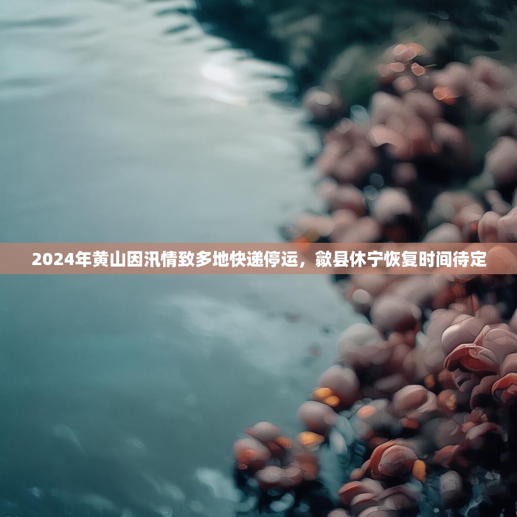 2024年黄山因汛情致多地快递停运，歙县休宁恢复时间待定