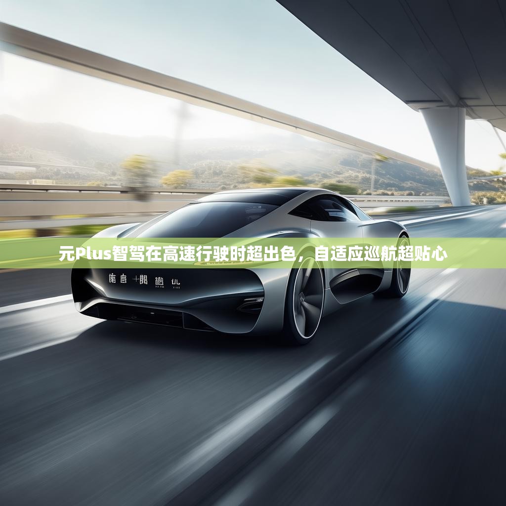 元Plus智驾在高速行驶时超出色，自适应巡航超贴心