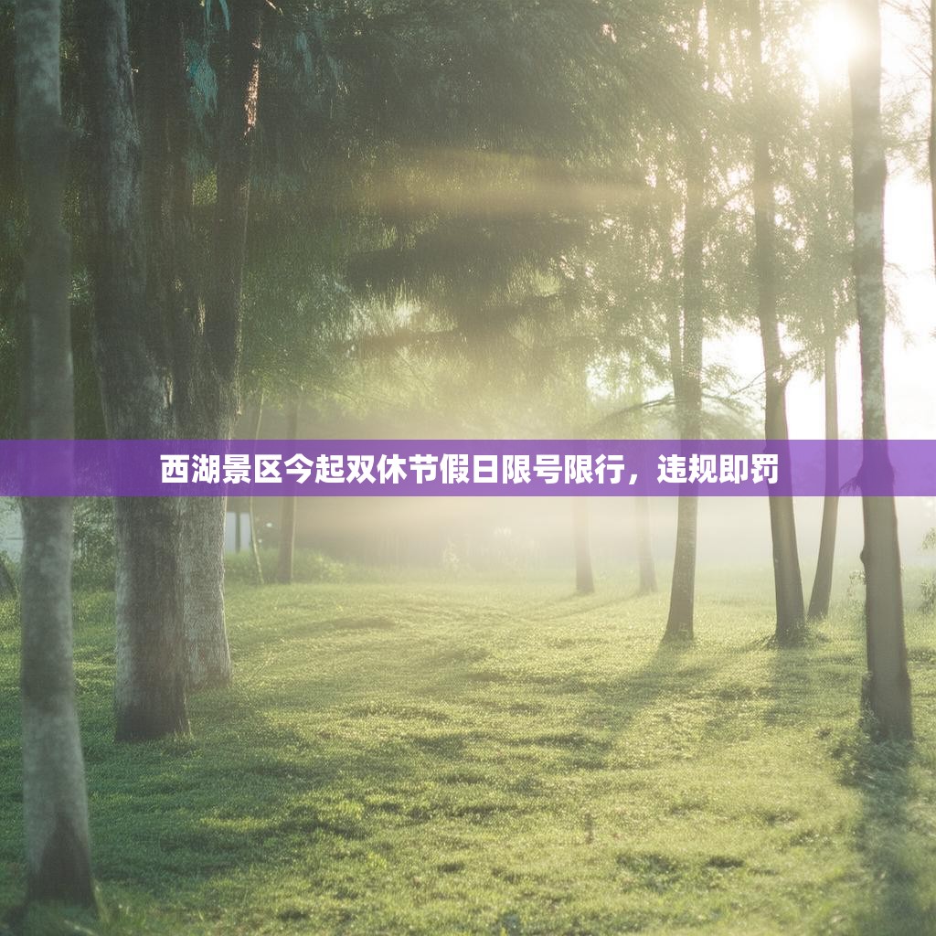 西湖景区今起双休节假日限号限行，违规即罚