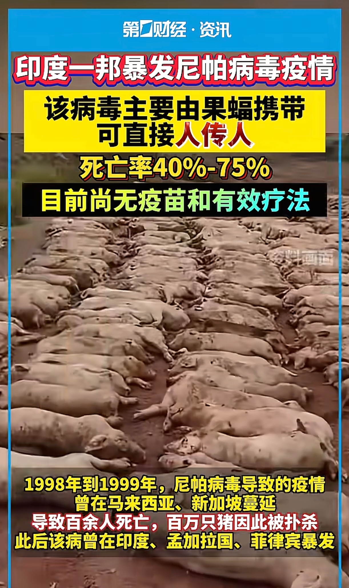 2026 年 1 月印度西孟加拉邦尼帕病毒疫情,致死率高传播快